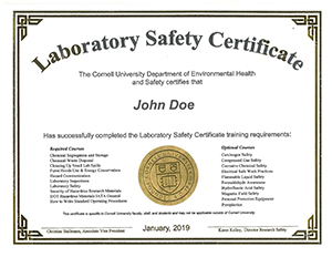 Example of a Laboratory Safety Certificate