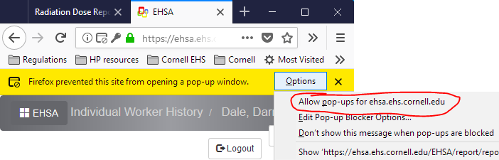 Screenshot: Allow pop-ups in your browser